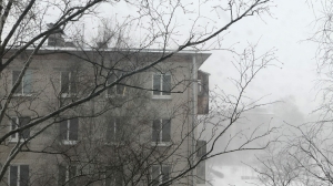 Столица бьет рекорд: Петербург уступил в снежной гонке заметенной Москве