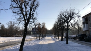 Средняя температура за первую декаду февраля в Петербурге оказалась на 5,5 градусов ниже нормы