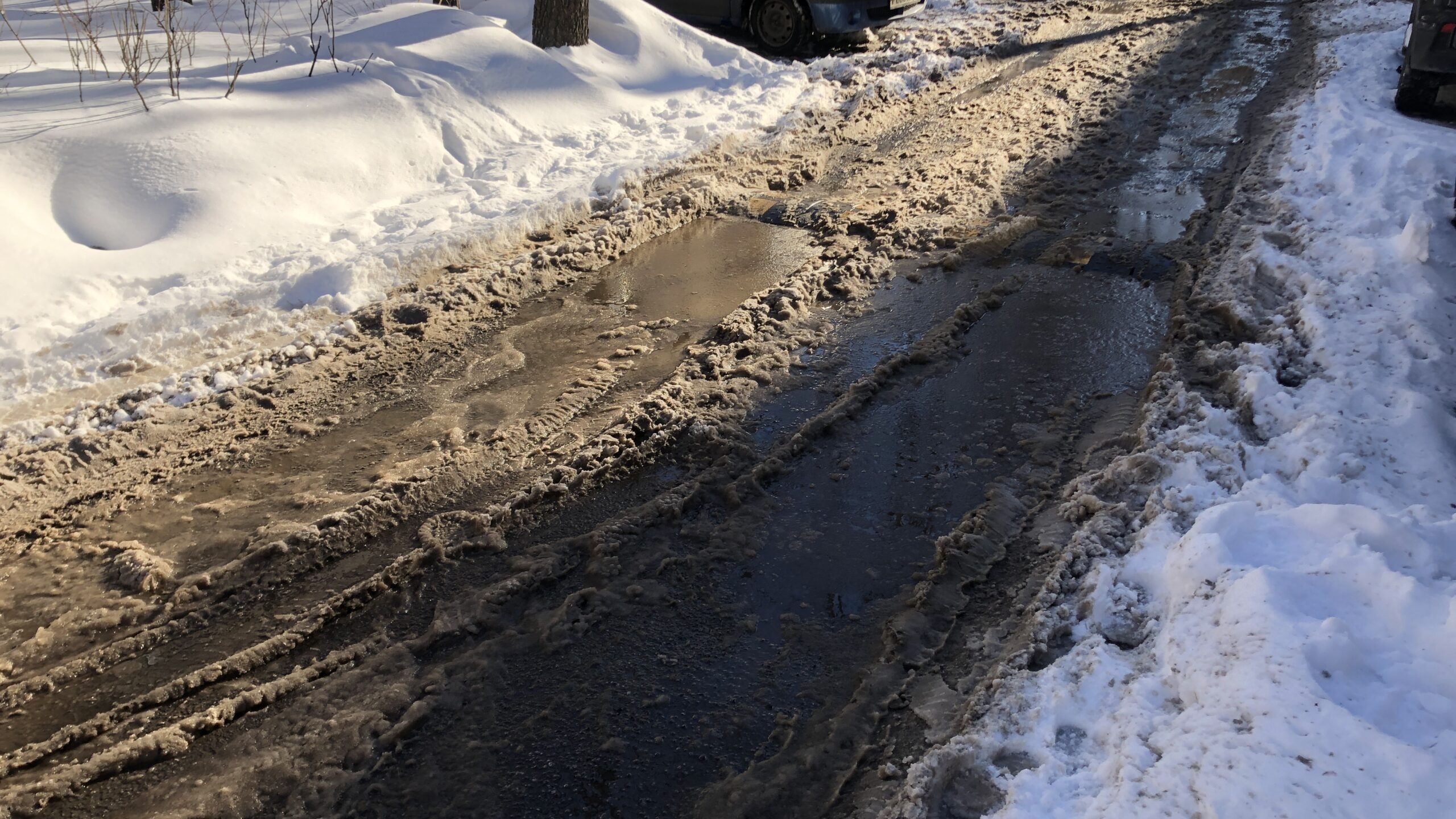 На трассе в Ленобласти бензовоз из Киришей в лоб столкнулся с легковушкой
