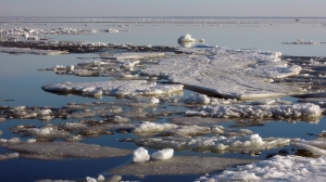 Петербургским любителям рыбного лова запретили выходить на лед