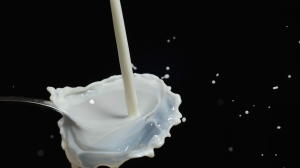 Россельхознадзор обнаружил больше 30 тонн «фантомного» молока