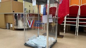 Остался без зеленки: в Петербурге предотвратили провокацию на избирательном участке