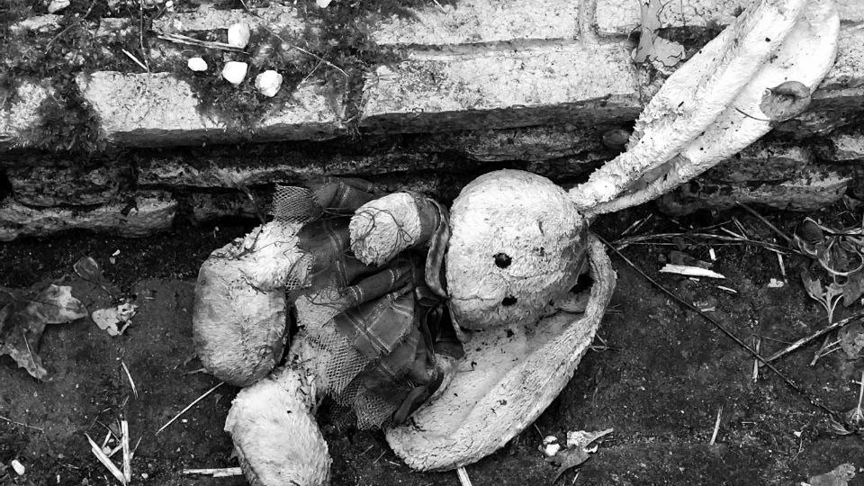 В Сосновке нашли разложившееся тело младенца