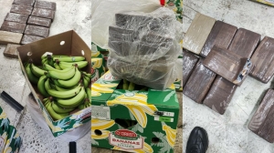 В Петербург пытались провезти партию наркотиков на 165 млн в бананах