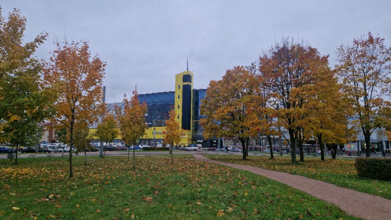 Антициклон принес в Петербург холод, ветер и солнце