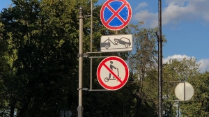 Петербургские активисты собрали подписи для запрета арендных самокатов