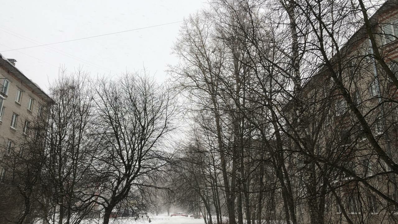Метель с грозой, жара со снегом: депрессивная «Патриция» навела суету в Петербурге и Ленобласти
