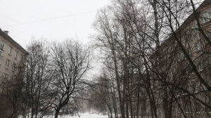 Метель с грозой, жара со снегом: депрессивная «Патриция» навела суету в Петербурге и Ленобласти