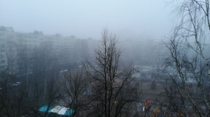 Утро в Петербурге началось с тумана, а днем потеплеет до +10 градусов