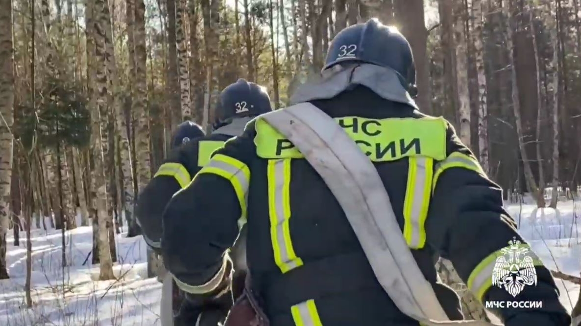 В Петербурге спасатели проводят учения по тушению лесных пожаров