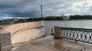 Колесов: в первый день выборов президента Петербург раскалился до рекордных температур