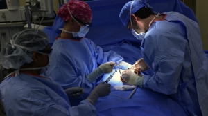 В Петербурге в 7 раз выросло число трансплантации донорских органов