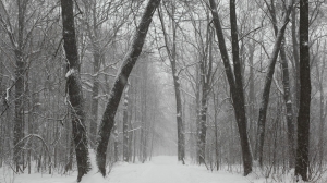 «Нет, зима не вернулась»: Колесов пообещал петербуржцам тепло, но много мокрого снега