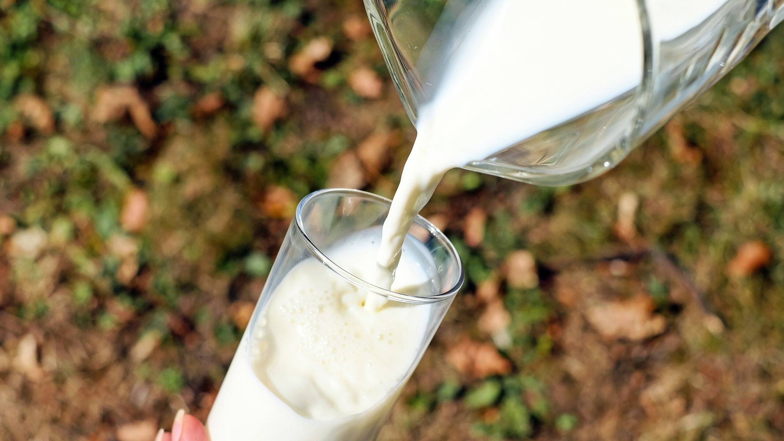 Вода и кишечная палочка: молоко в Петербурге проверили на соответствие ГОСТу