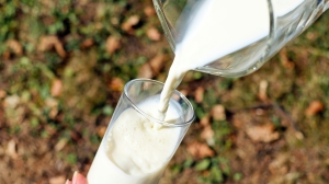 Молоко оказалось на первом месте среди главных аллергенов в России