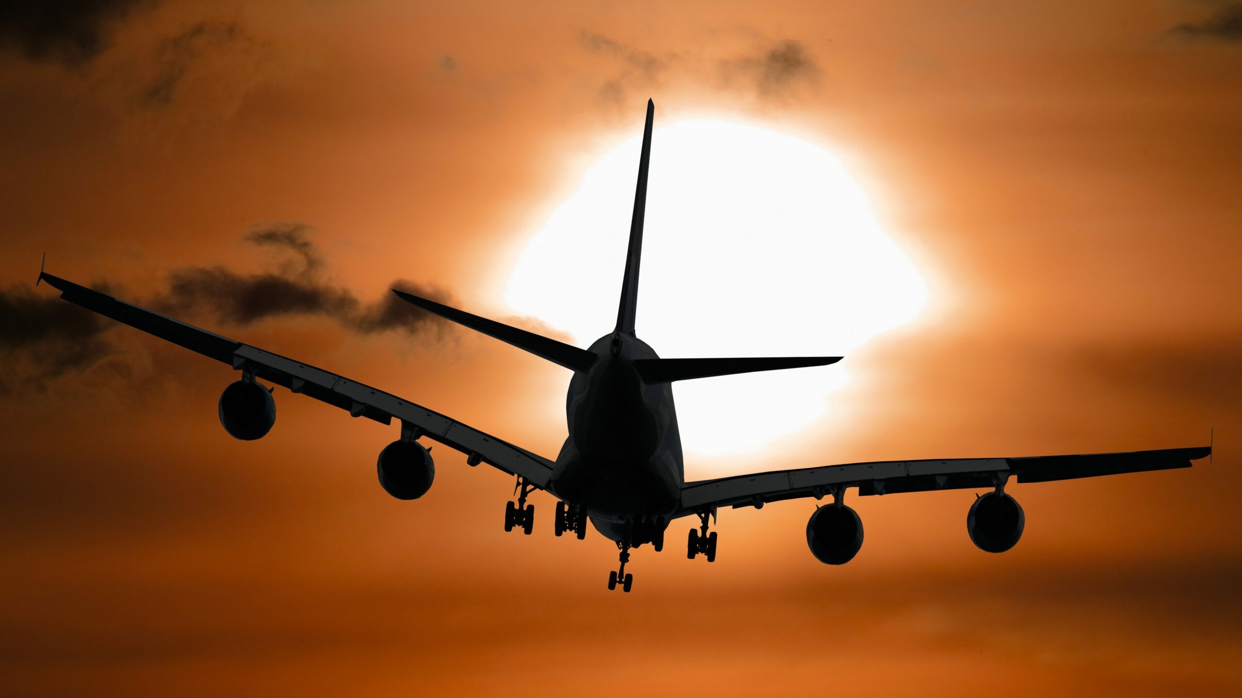 Аэропорт Сочи хочет ввести режим «открытого неба» для привлечения иностранных авиакомпаний