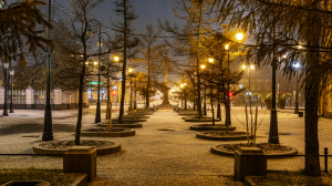 В середине недели петербуржцы вновь увидят снег