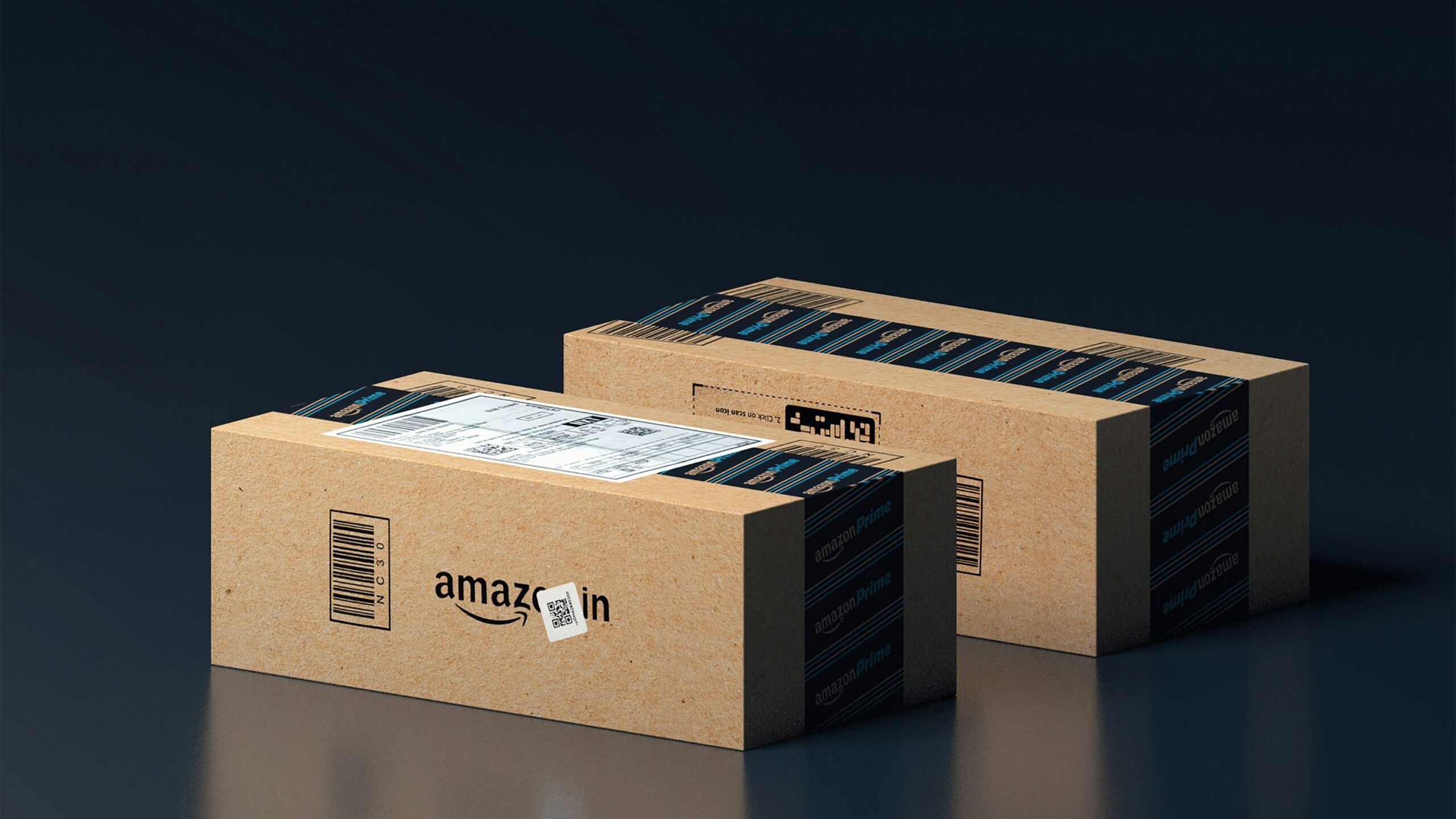 В США коробка с товарами от маркетплейса Amazon была под чутким надзором кошки