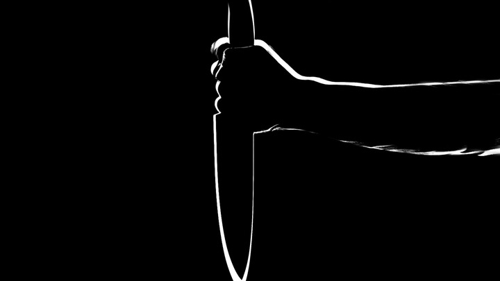 Пьяная жительница Колпино с ножом напала на сына-подростка: возбуждено уголовное дело