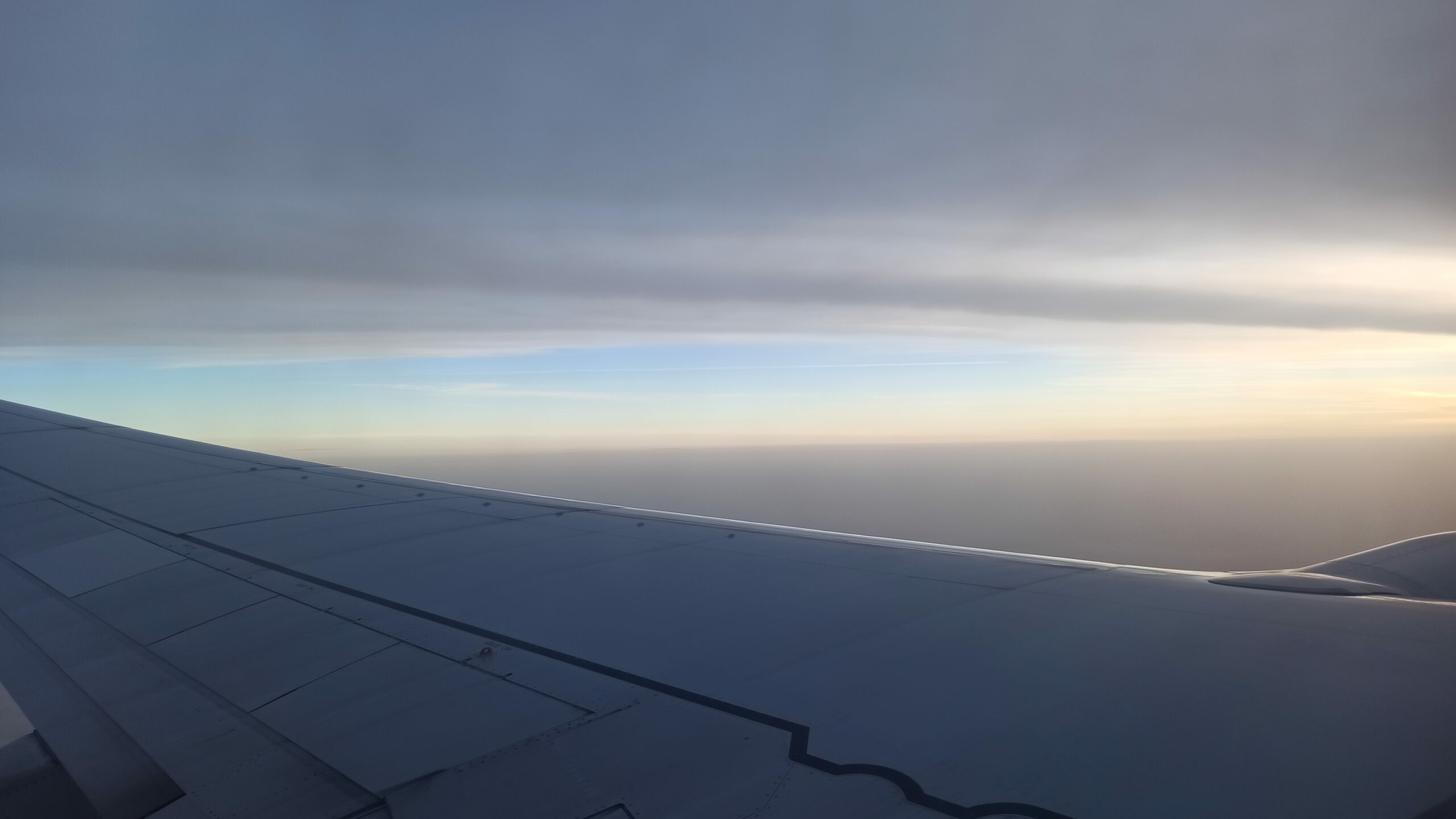 Пассажиров задержанных в Пулково рейсов до Москвы скоро отправят в столицу