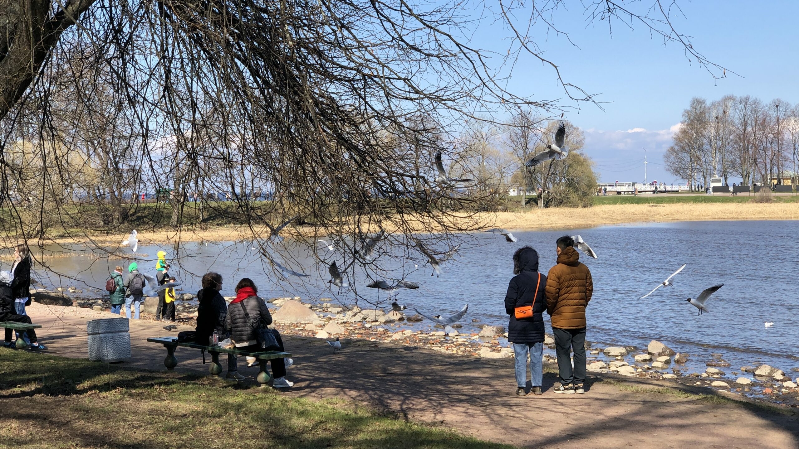 Острая нехватка экскурсоводов: Петербург нуждается в гидах из-за выросшего потока отечественных туристов