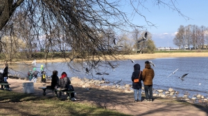 Острая нехватка экскурсоводов: Петербург нуждается в гидах из-за выросшего потока отечественных туристов