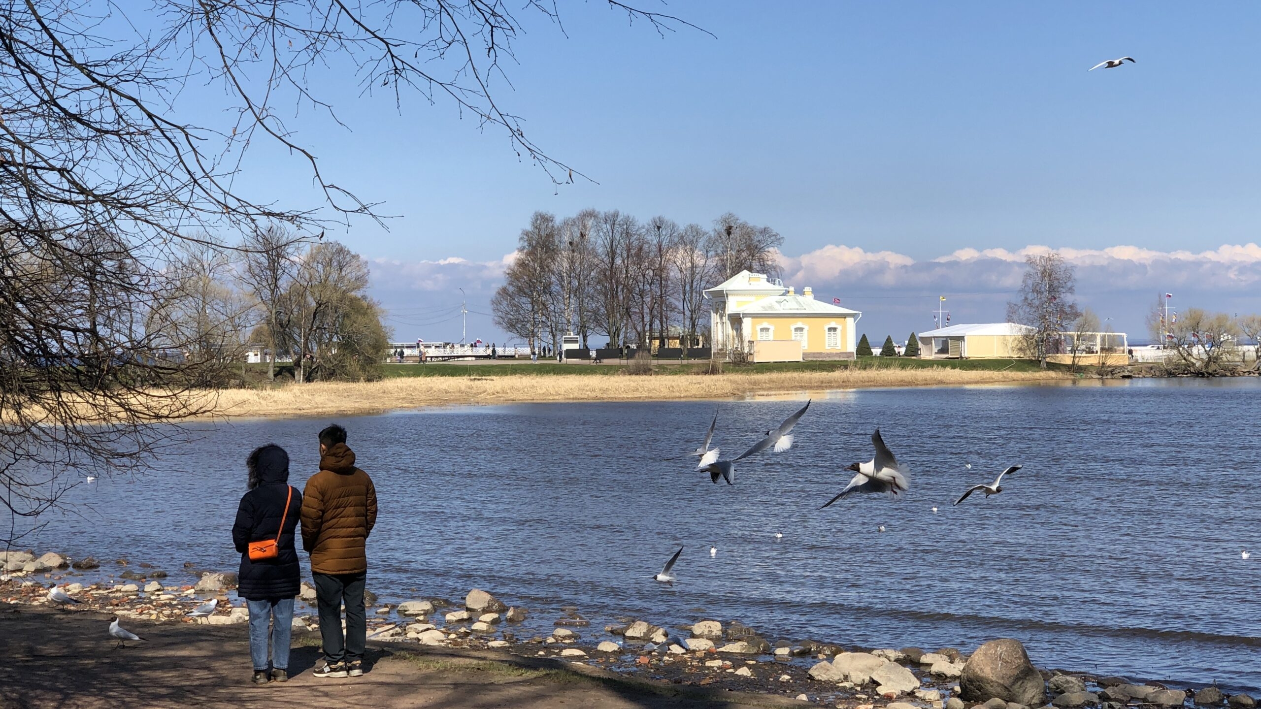 Куда поехать весной в Ленобласти: 7 маршрутов на электричке — от средневековой крепости до кладбища поездов