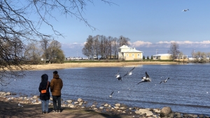 Куда поехать весной в Ленобласти: 7 маршрутов на электричке — от средневековой крепости до кладбища поездов