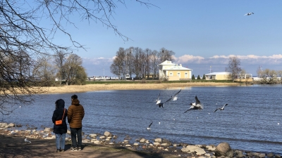 Куда поехать весной в Ленобласти: 7 маршрутов на электричке — от средневековой крепости до кладбища поездов