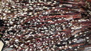 Какого числа Вербное воскресенье в 2026 году в России? Когда освещать вербу и что нельзя делать в этот праздник