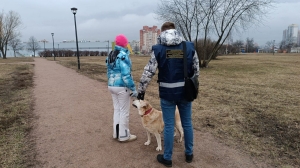 В двух районах Петербурга за день выявлено 8 нарушений при выгуле собак
