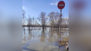 Мэр Новокузнецка: уровень воды реки Томь достиг опасного уровня