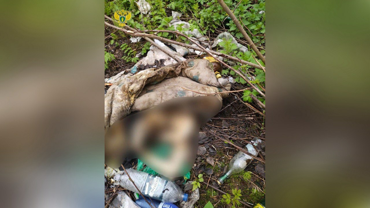 Останки человека нашли в московском лесу