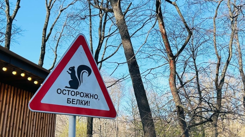 Праздник 26 марта — Никифоров день: приметы, запреты и традиции