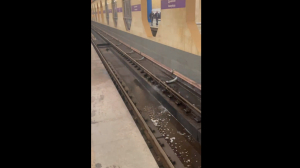 В Петербурге вновь затопило станцию метро «Дунайская» — очевидцы публикуют видео