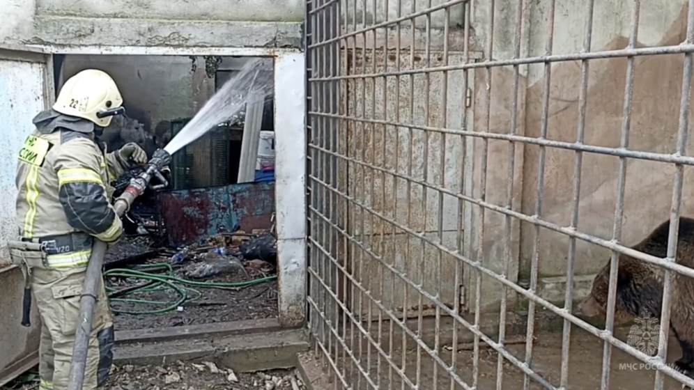 В Евпатории контактный зоопарк сгорел дотла: животных удалось спасти
