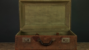 Куски плоти в чемодане: в Ленобласти рецидивист расчленил тело задушенной сестры сожительницы