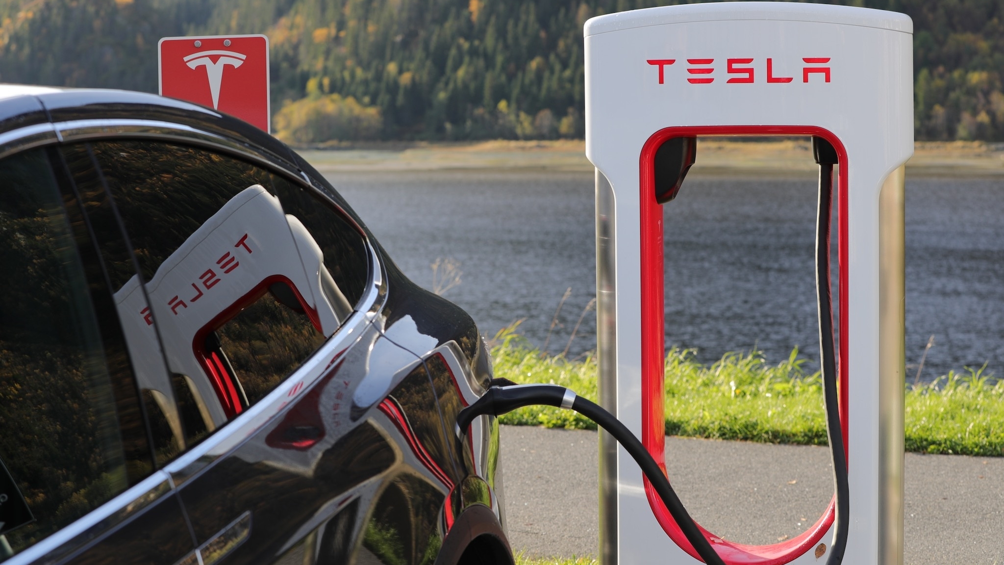 Производитель электрокаров Tesla подал в суд на индийскую компанию с похожим названием