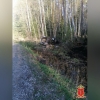 В результате ДТП в Ленобласти погибло три человека