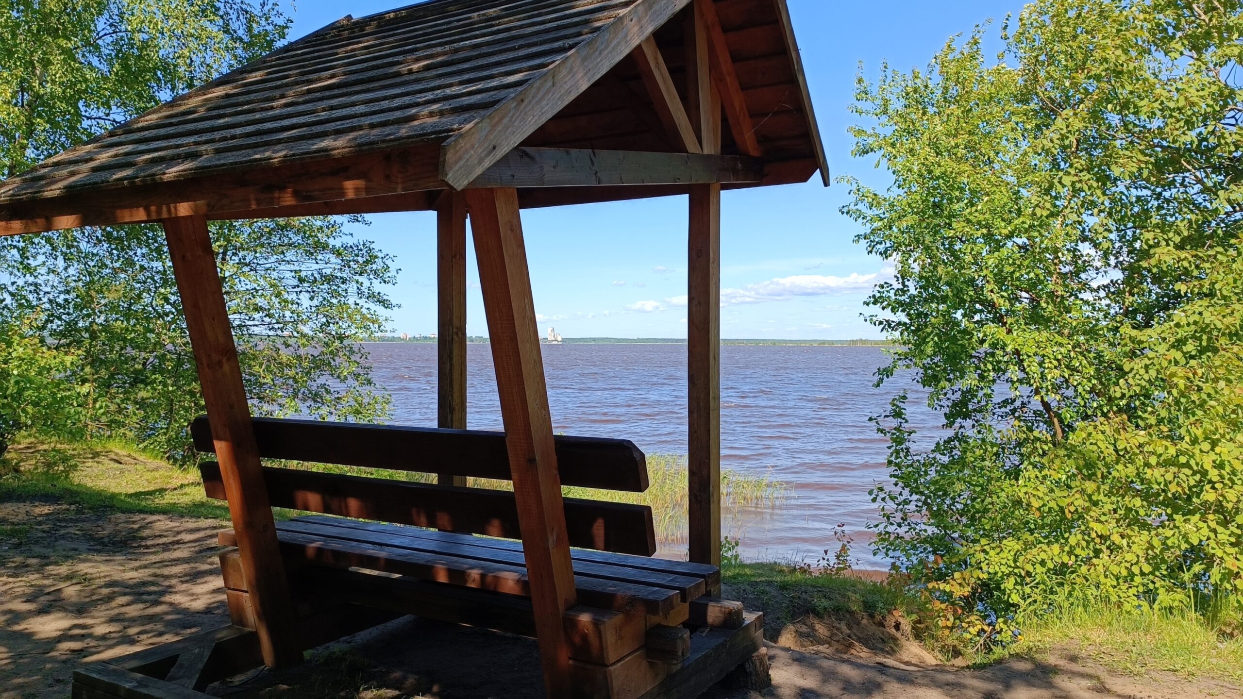 Петербург позаботился о любителях пикников: в городских лесах создали  больше 40 мест для отдыха на природе