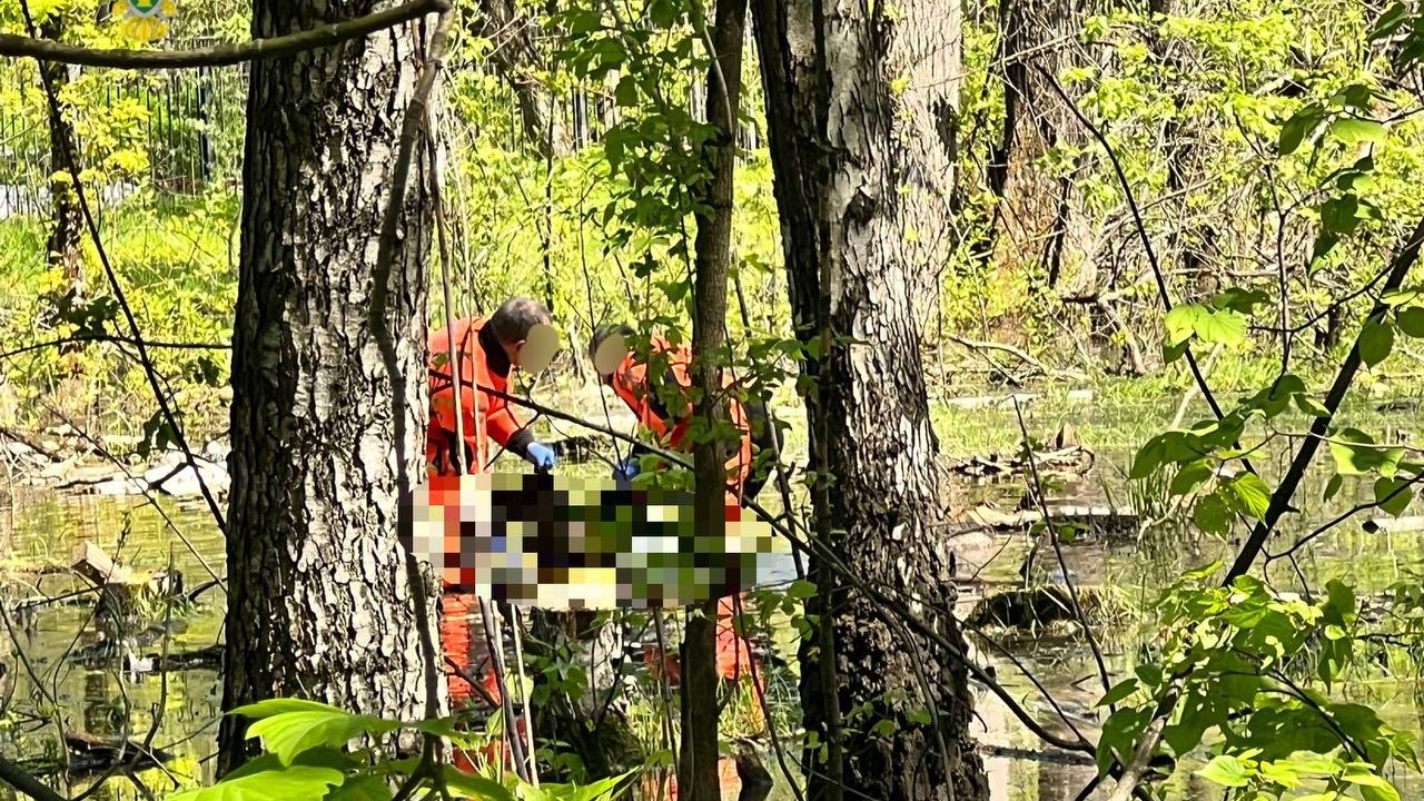 В одном из парков Москвы нашли тело 13-летней девочки