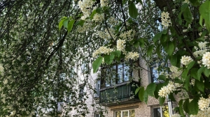 Петербуржцев обяжут следить за состоянием старинных домов: закон внесли на рассмотрение Госдумы