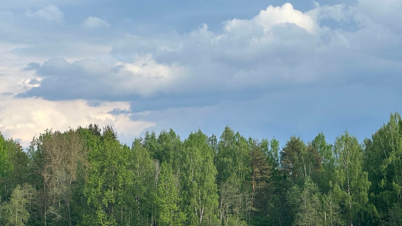 В лесу погиб бывший председатель Нижегородского суда