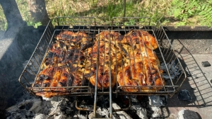С дымком и без штрафа: где в Петербурге можно пожарить шашлык на майских праздниках без последствий