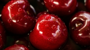 Петербуржцам рассказали, как правильно выбирать и употреблять летние ягоды