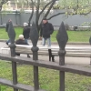 «Он врет!»: пьяные петербуржцы побили пенсионера возле элитной гимназии из-за спора о ВДВ