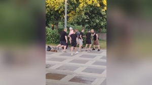 В парке 300-летия Петербурга вечер начался с массовой драки