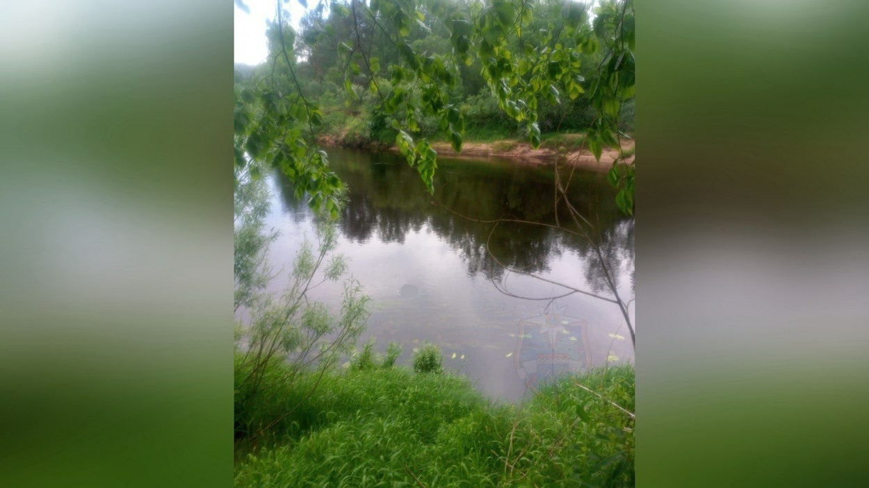 Поисковые работы закончены: в реке Луга нашли тело женщины