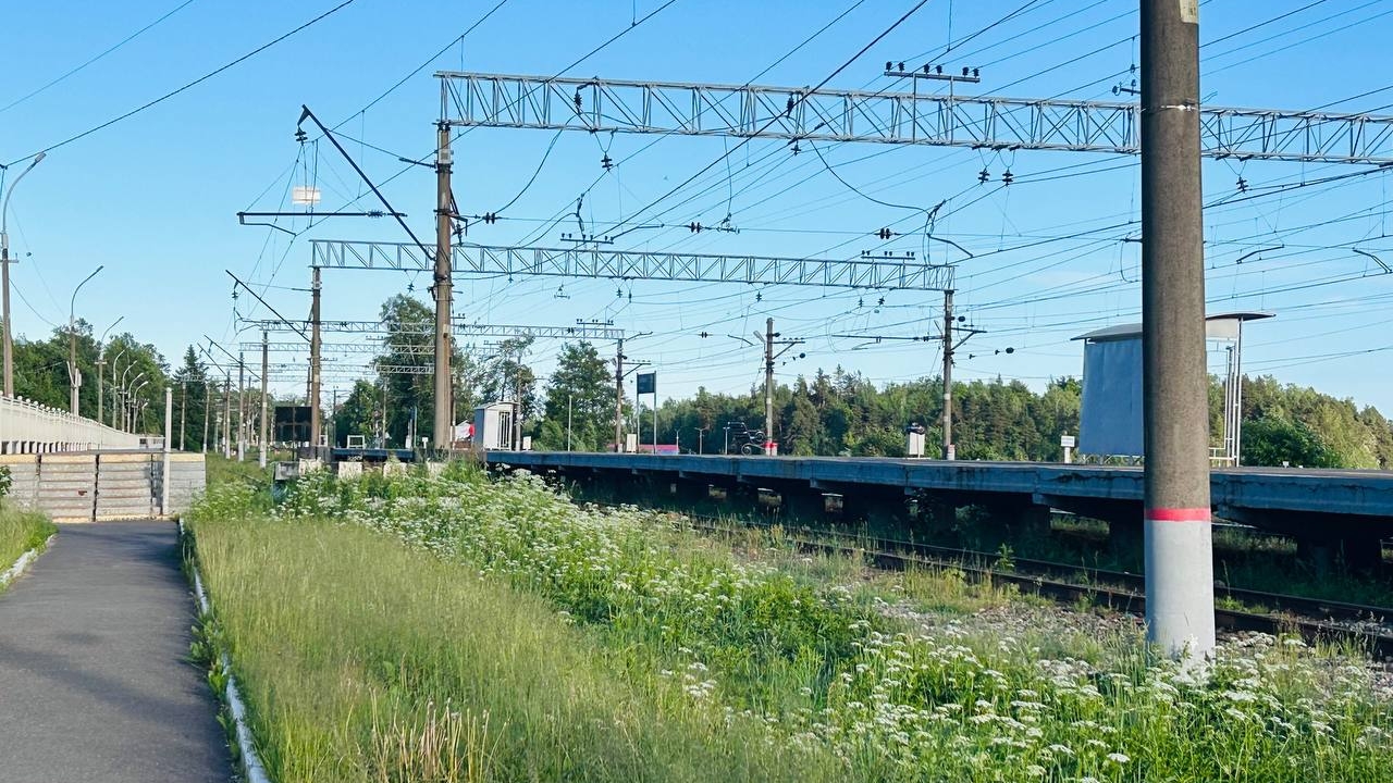 Где в ЛО убирают старые поезда с лета 2026: полный список направлений