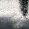 Мертвеца со следами утопления нашли в водоеме на Громова